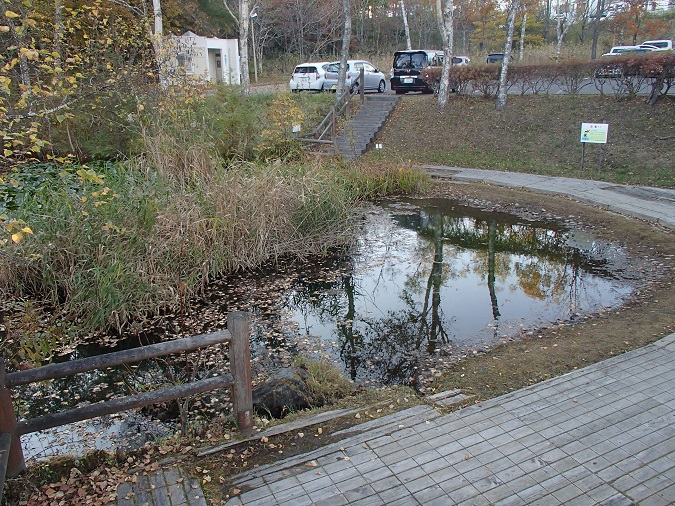 写真：トンボの池1