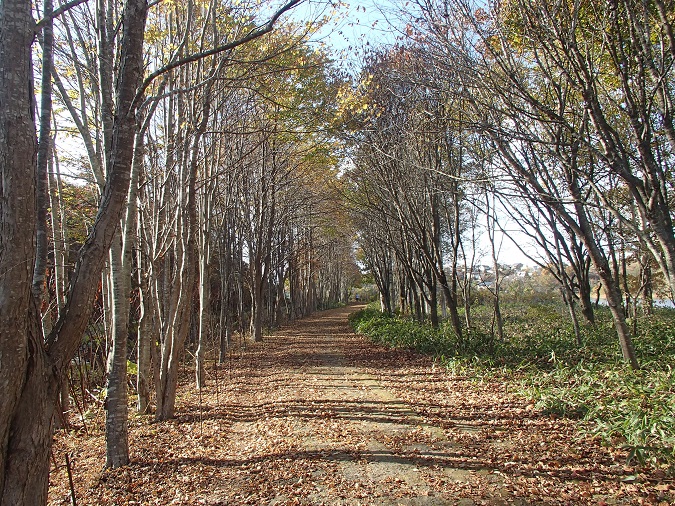 写真：四阿・周遊園路　周遊園路2