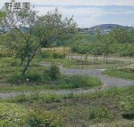 写真：野草園