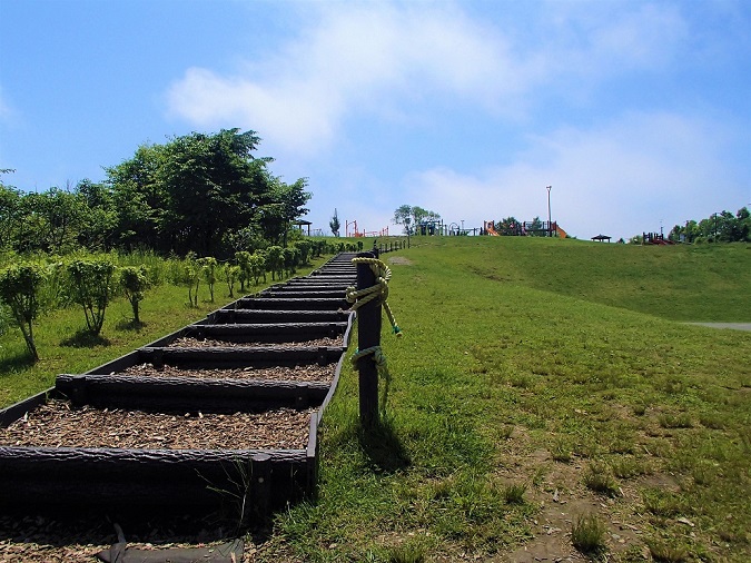 写真：緑ケ岡公園