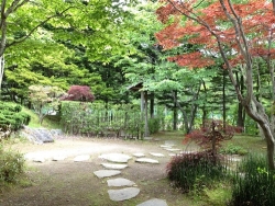 写真：鶴翔庵の日本庭園2