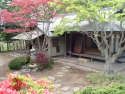 写真：鶴翔庵の日本庭園3