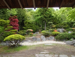 写真：鶴翔庵の茶室からの風景