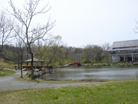 写真：鶴ケ岱公園の全景