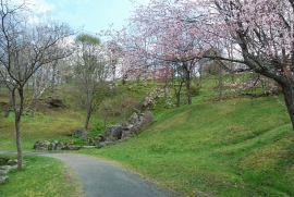 写真：鶴ケ岱公園桜と滝