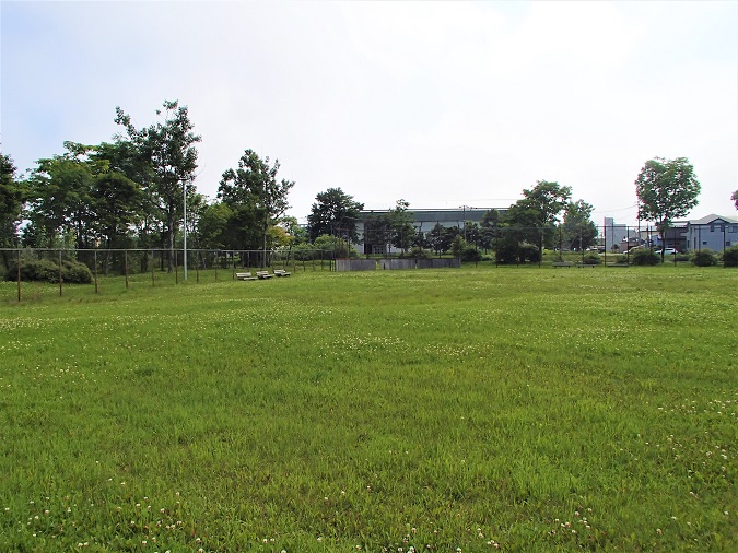 写真：野球場