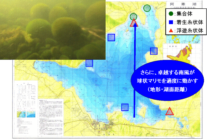 写真：阿寒湖に吹く風と波