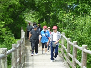 写真：ウォーキング