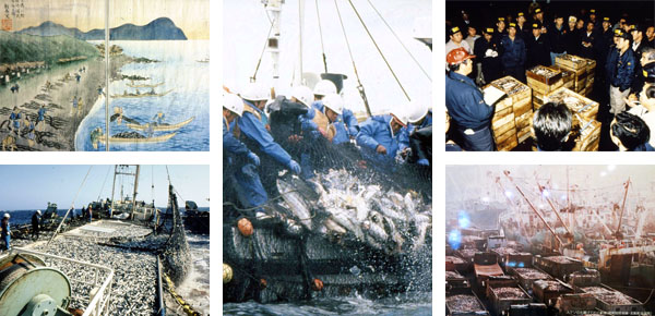 水産業の歴史のイラストと写真