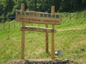 写真：市橋建設株式会社協定森林の立て看板