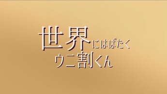 動画サムネイル：株式会社ナイネンキウニ割くん