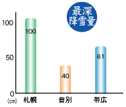 グラフ：最深降雪量