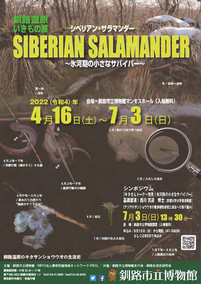 写真：シベリアン・サラマンダー　氷河期の小さなサバイバーポスター