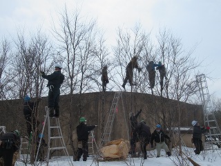 写真：剪定作業