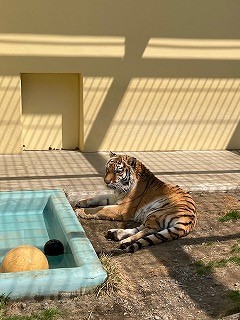 写真：4月20日ココア7