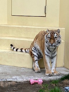 写真：5月8日ココア6