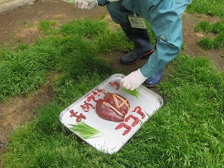 写真：サラダ付き特製ケーキ