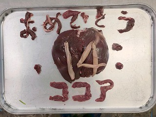 写真：ココアの誕生日ケーキ