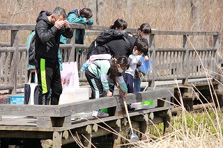 写真：かえるの観察会