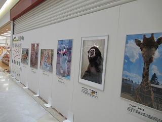 写真：写真パネル展2