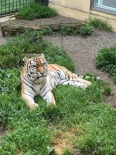 写真：7月14日（木曜日）ココア4