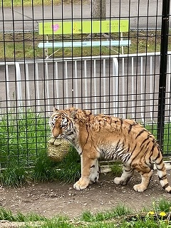 写真：6月2日（木曜日）ココア6