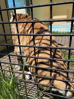 写真：6月7日（木曜日）ココア1