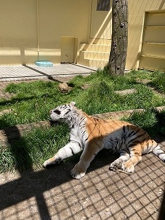 写真：6月7日（木曜日）ココア5