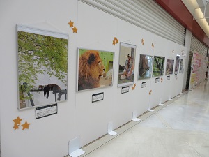 パネル展の写真2