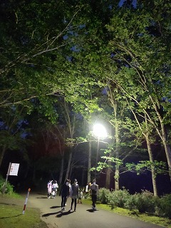 夜の動物園内の写真1