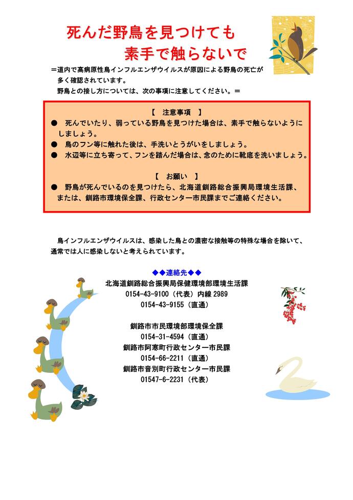 死んだ野鳥を見つけても素手で触らないで