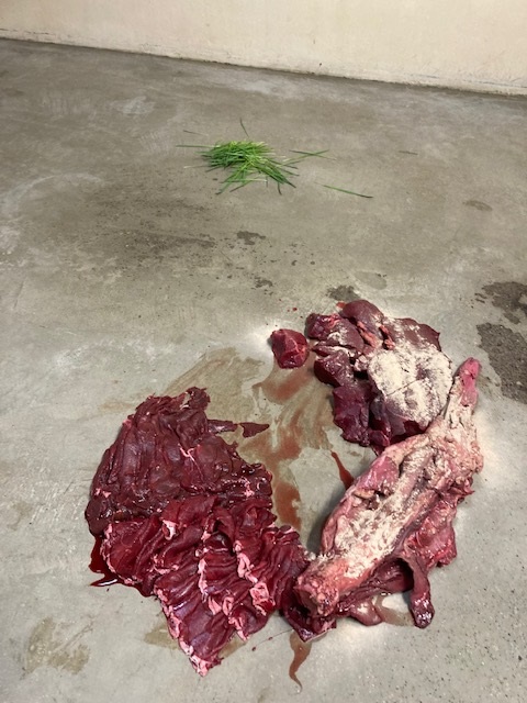 プレゼントされたシカ肉の写真