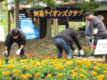 花壇整備の様子