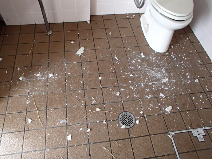 女子子トイレ天井損壊 (文苑南公園)