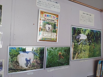紹介コーナーの写真5