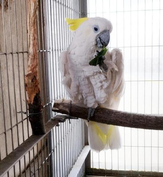 しんちゃんの写真