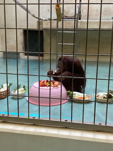 写真：りなとリンゴジュース