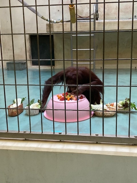 写真：りなとケーキ