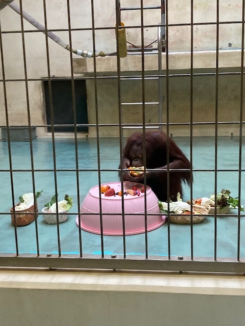 写真：りなとケーキ2