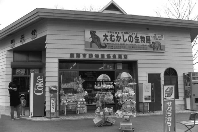 昭和56年の展示館と動物園協会売店