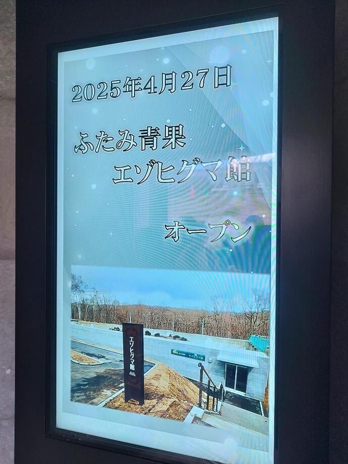 ふたみ青果エゾヒグマ館リニューアルオープン2