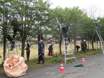 剪定ボランティアの写真