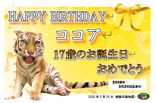 2025誕生日記念カード　画像