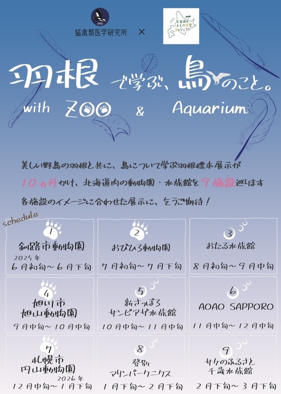 羽根標本店