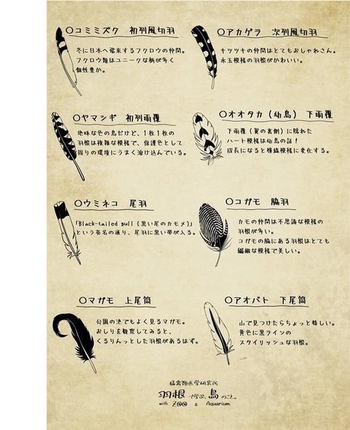 羽根限定グッズ