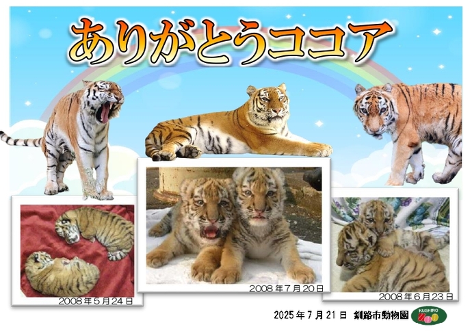 「ありがとうココア」カード（画像）