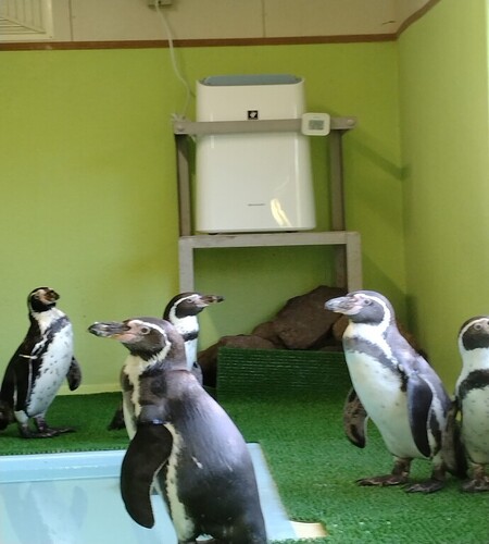 空気清浄機とペンギンの写真