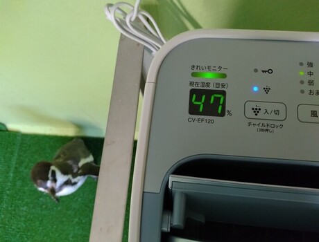 除湿機の写真
