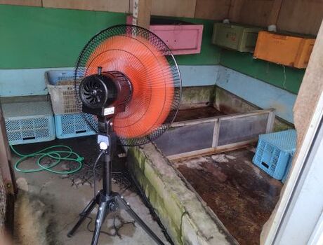 扇風機を使用している写真1