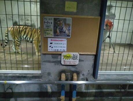扇風機を使用している写真2